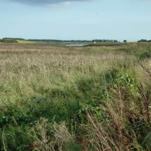 P1030463