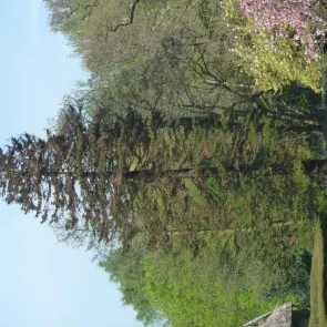 P1030253
